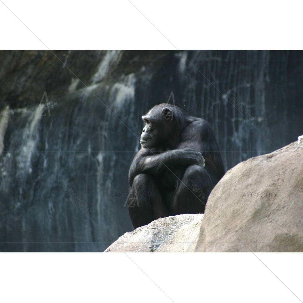 Contemplation — custom-size art design 5000002