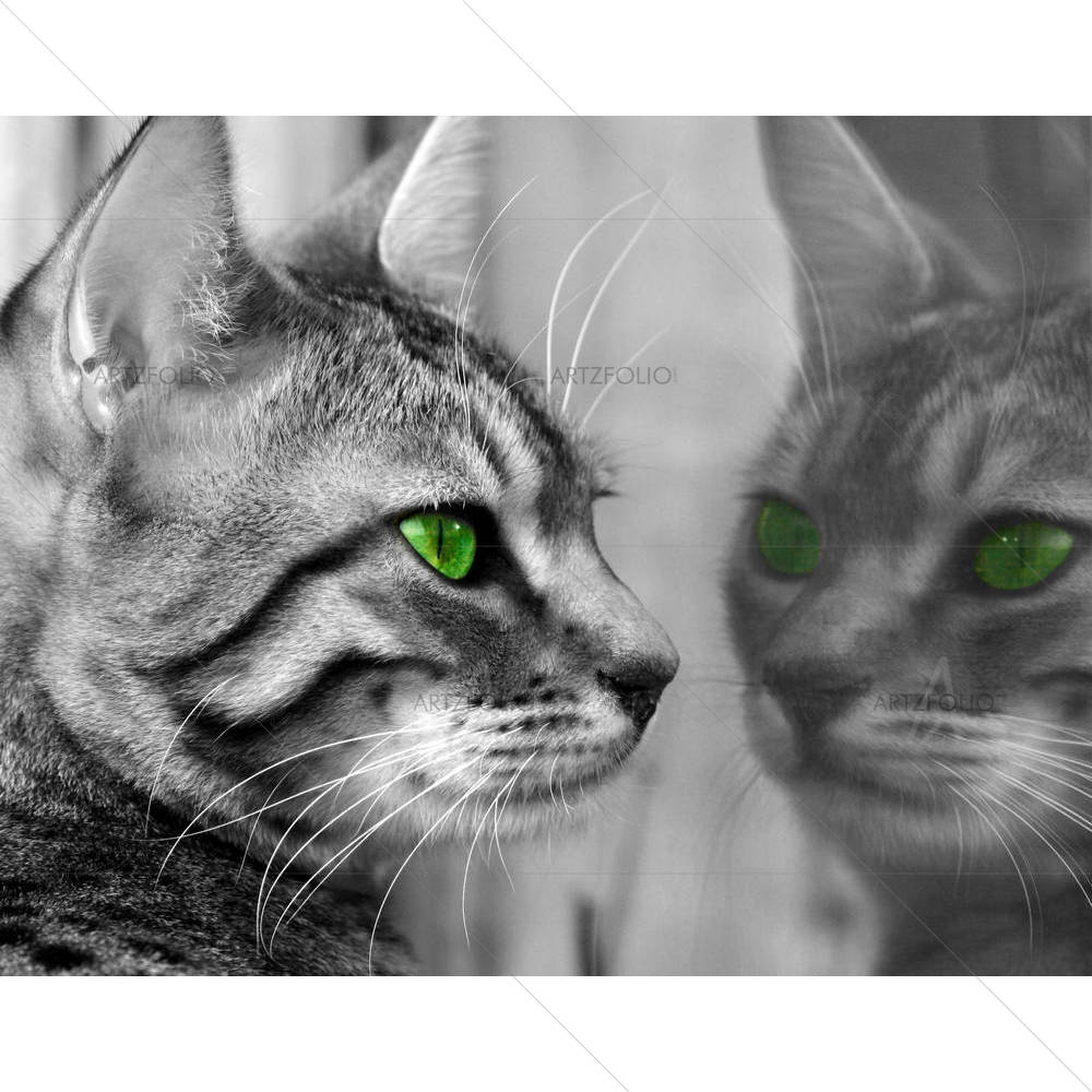 Begali Kitten — custom-size art design 5000004