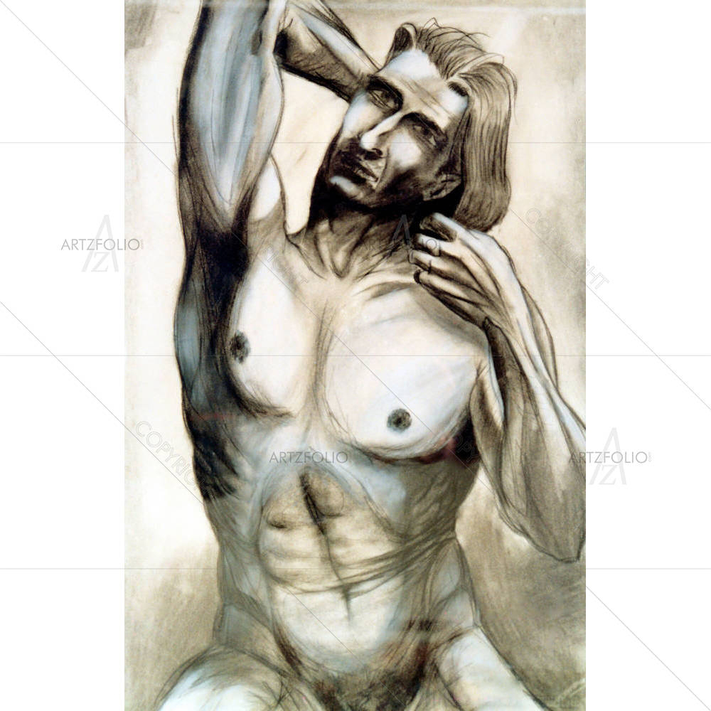 Male Torso D1 — custom-size art design 5000007