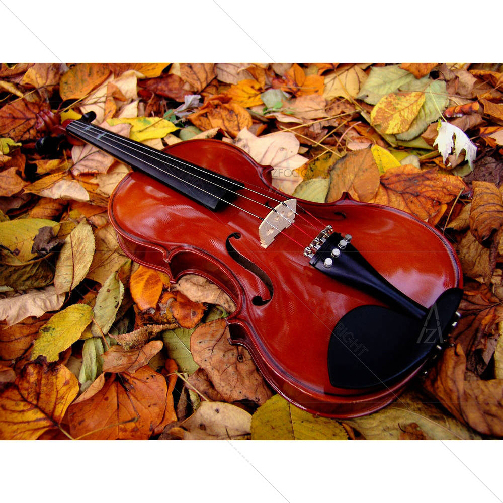Violin In Leaves — custom-size art design 5000009
