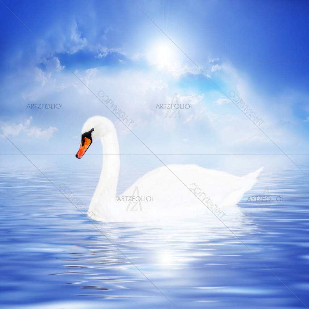 White Swan D1 — custom-size art design 5000043