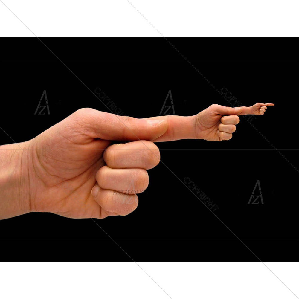Human Hands