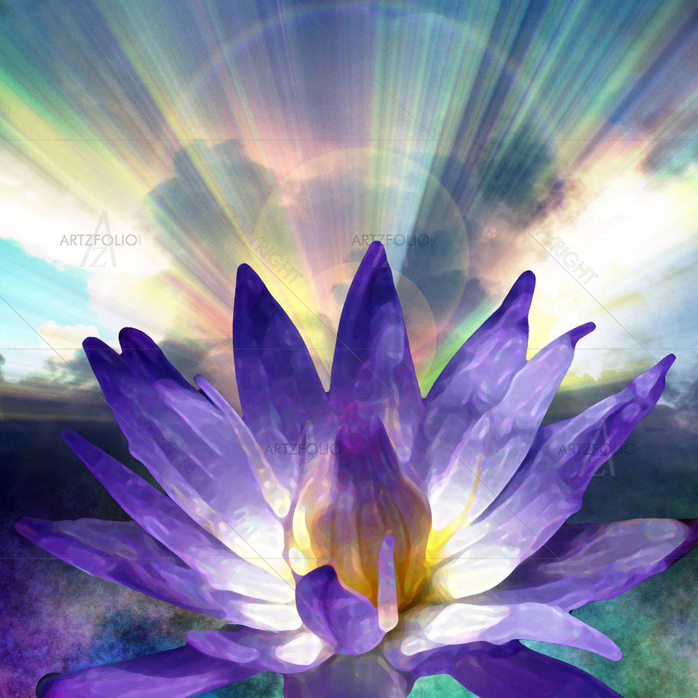 Lotus & Light