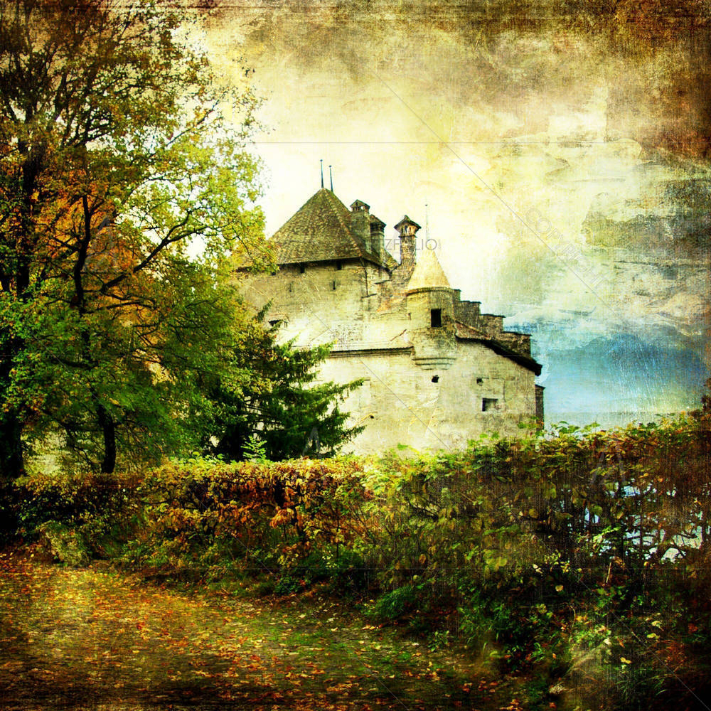 Cillion Castle D1 — custom-size art design 5000068