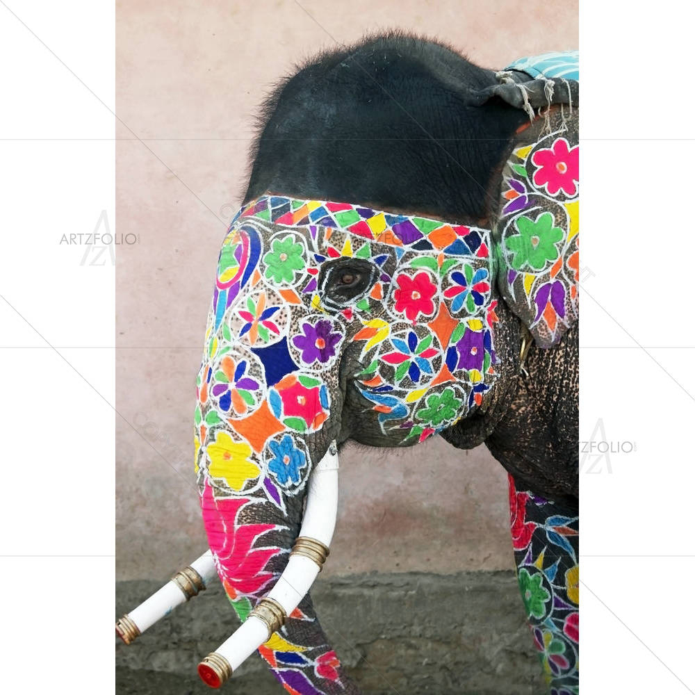 Elephant Festival, Jaipur, India — custom-size art design 5000084