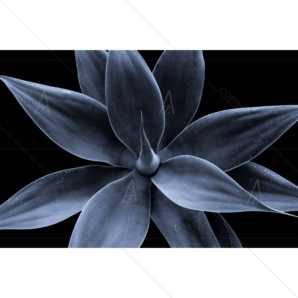 Generic Plant — custom-size art design 5000090