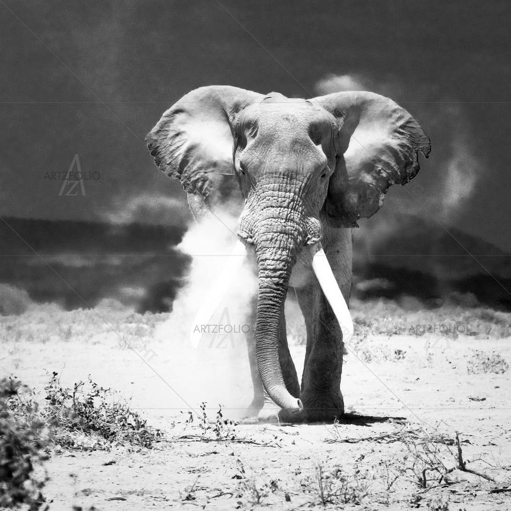 Old Elephant Amboseli National Park Kenya — custom-size art design 5000099