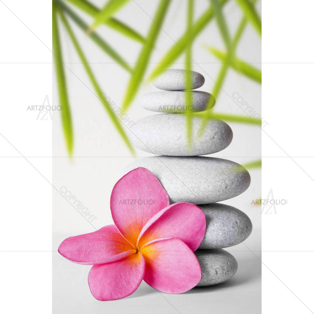 White Pebbles & Pink Frangipani Flower — custom-size art design 5000125