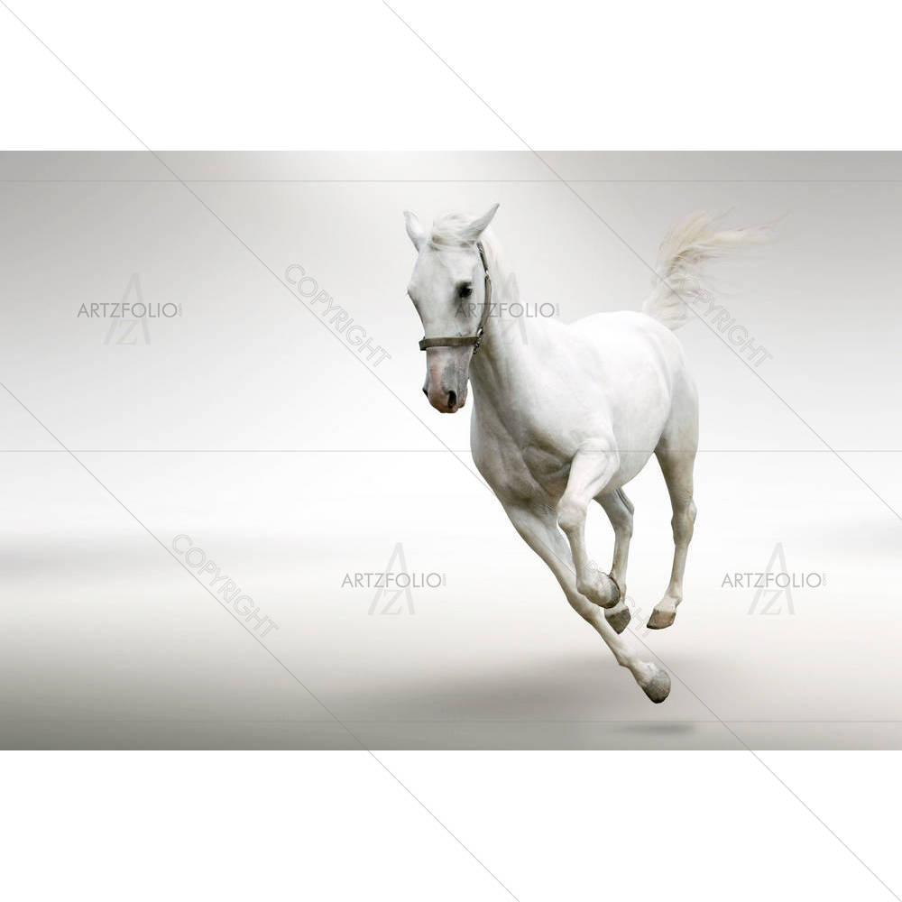 White Horse D1 — Animals custom art by ArtzFolio