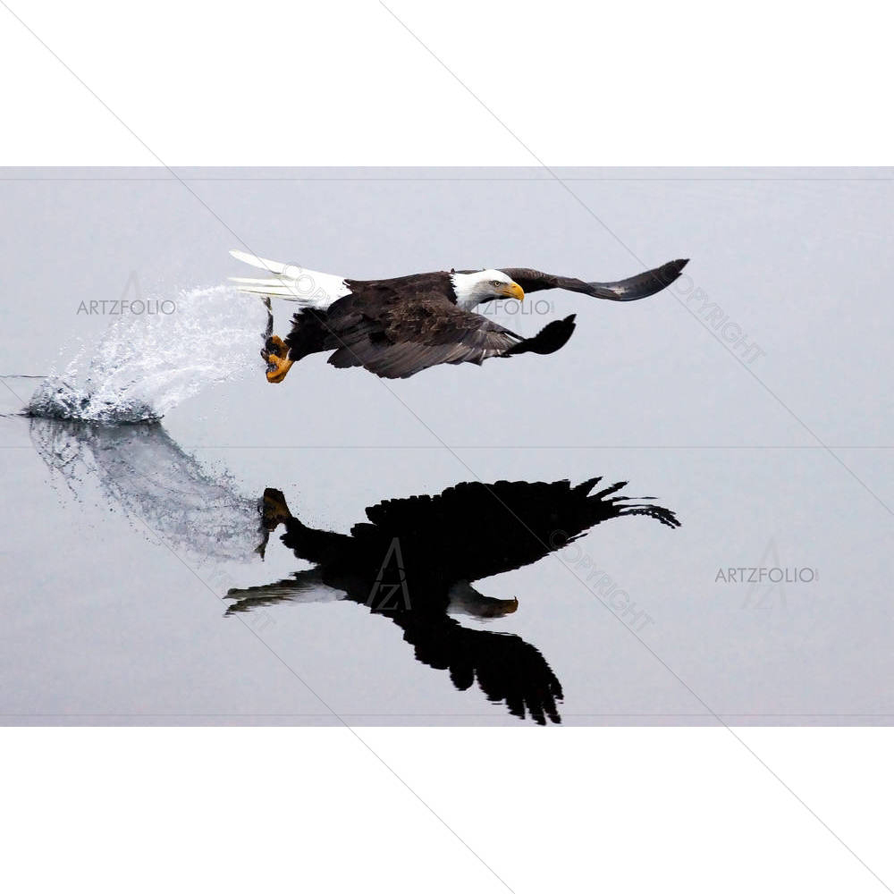 Eagle Catching Fish — custom-size art design 5000154