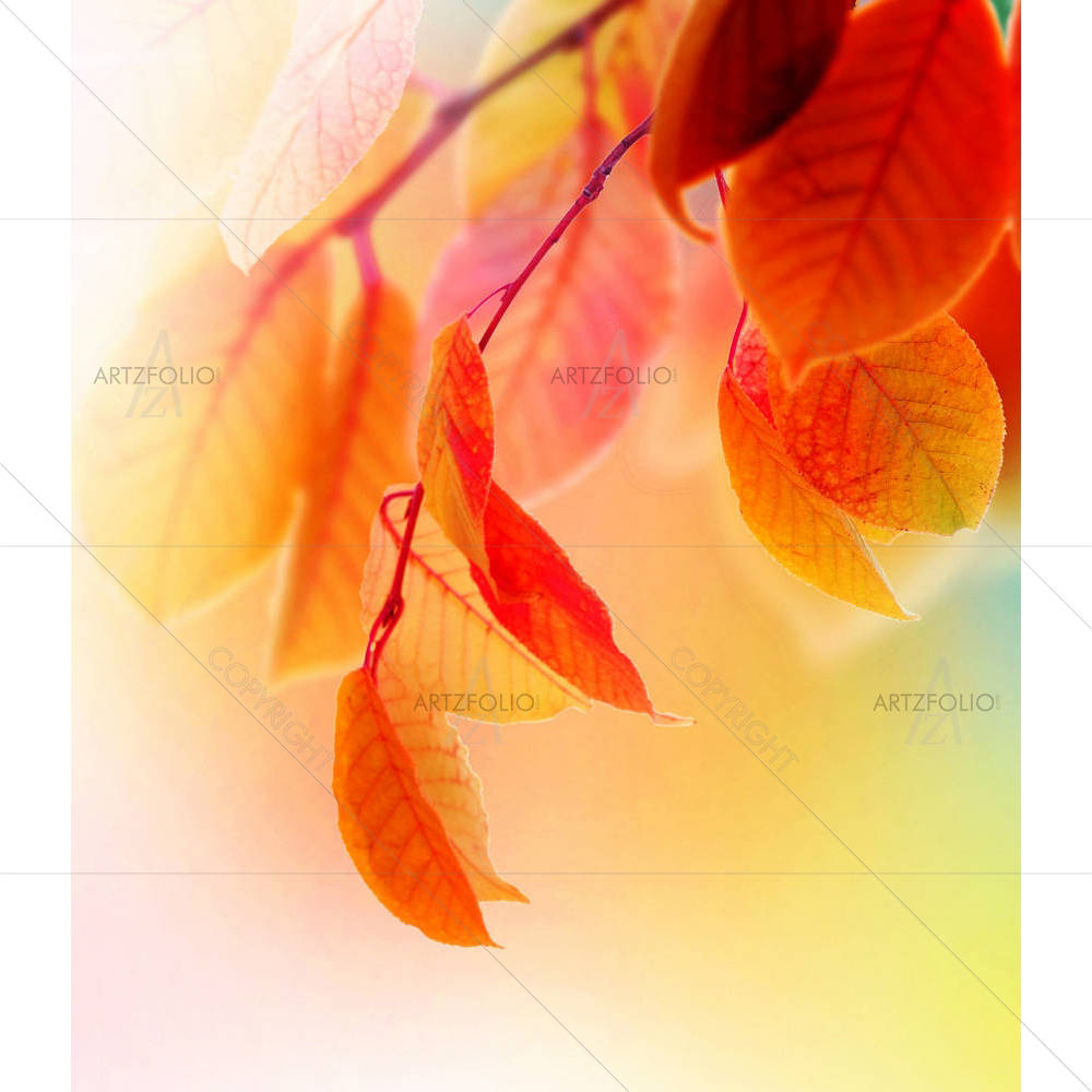Autumn — custom-size art design 5000166