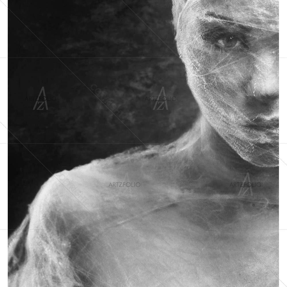 Woman Wraped With Cowebs D1 — Portraits custom art by ArtzFolio