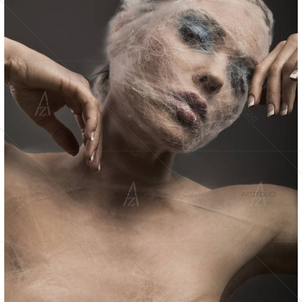 Woman Wraped With Cowebs D2 — custom-size art design 5000246
