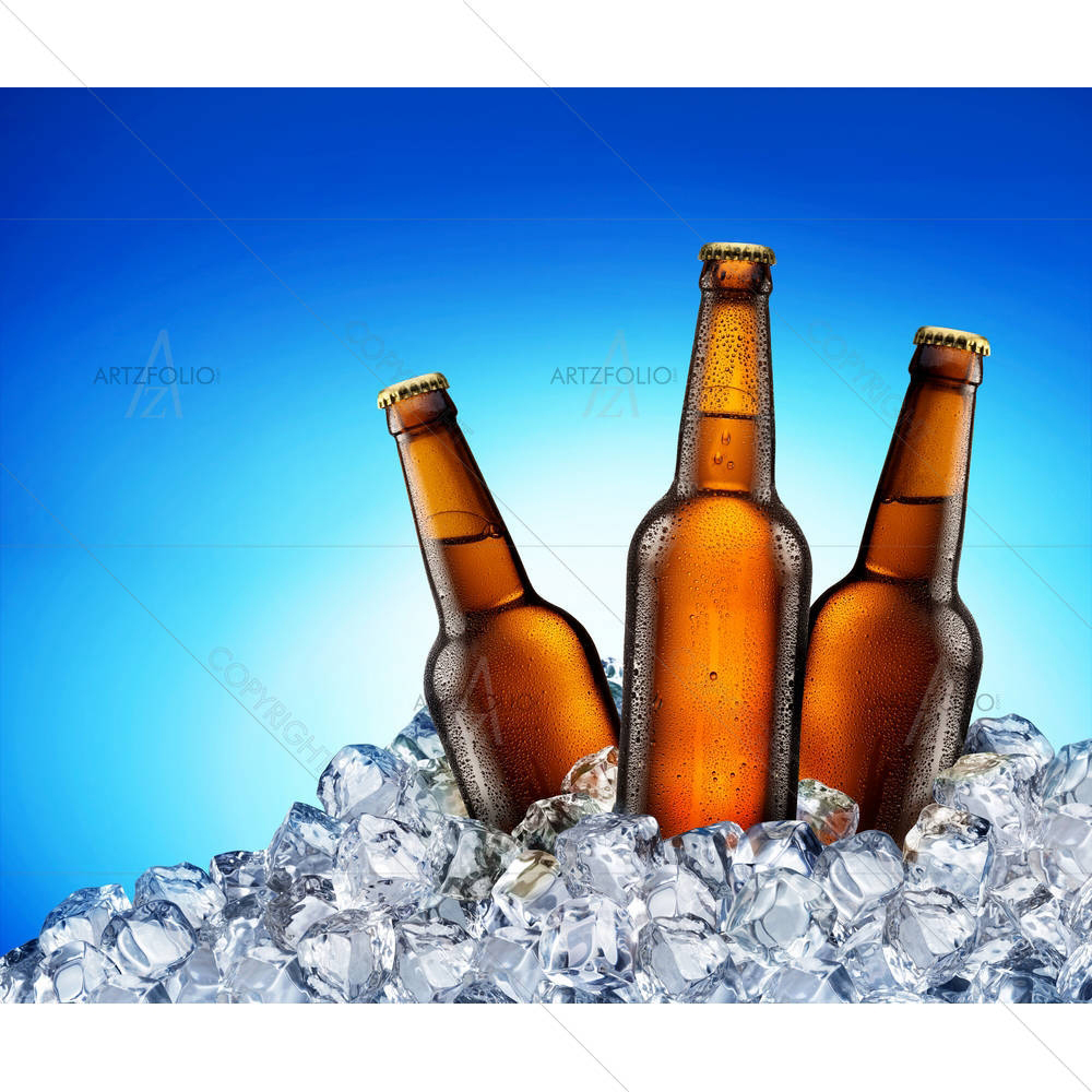 Beer Bottles D1
