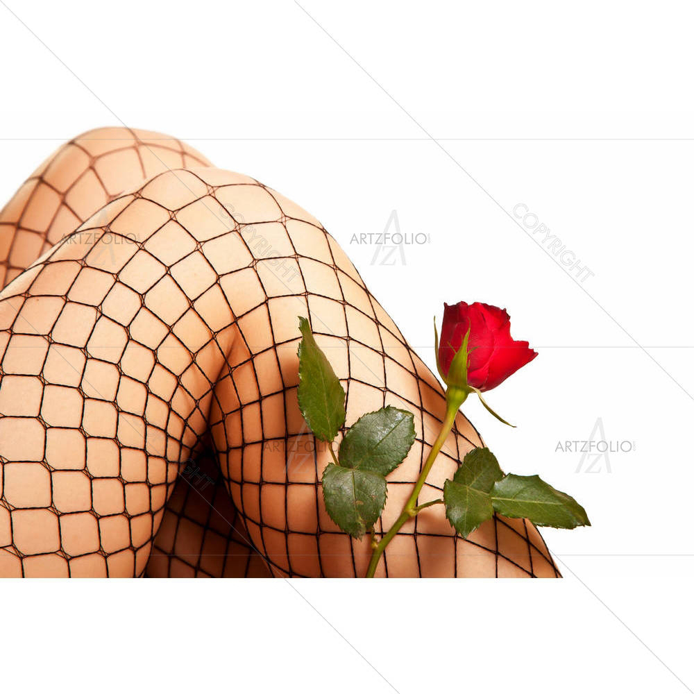 Woman Legs In Fishnet & Rose — Botanical custom art by ArtzFolio