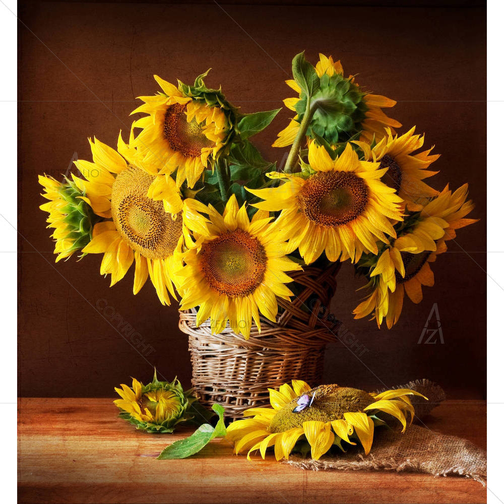 Sunflower & Butterfly — Botanical custom art by ArtzFolio