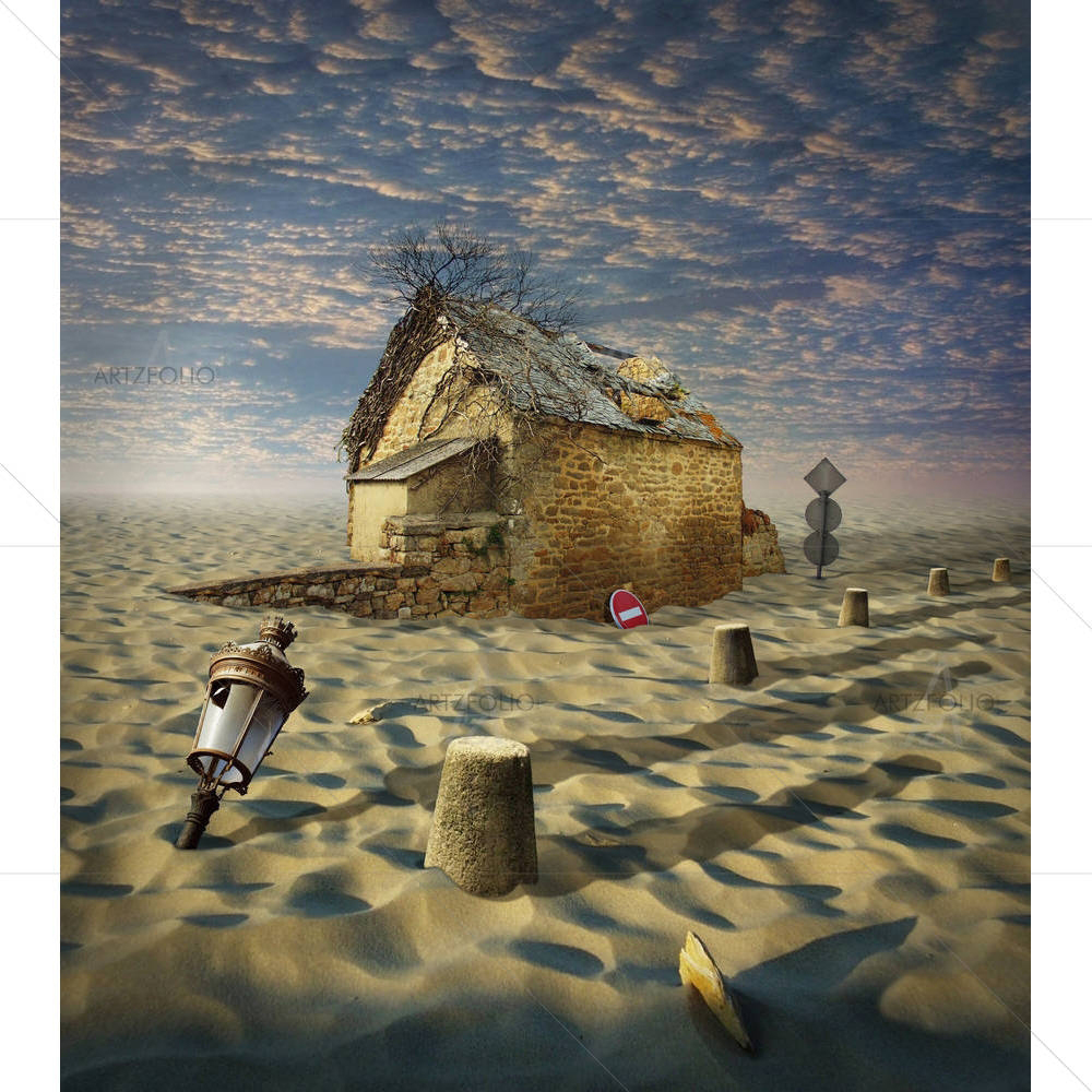 Lost In Desert — custom-size art design 5000281