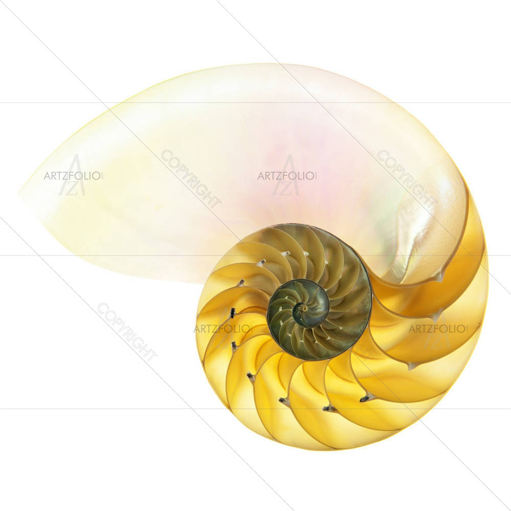 Halved Backlit — Ancient custom art by ArtzFolio