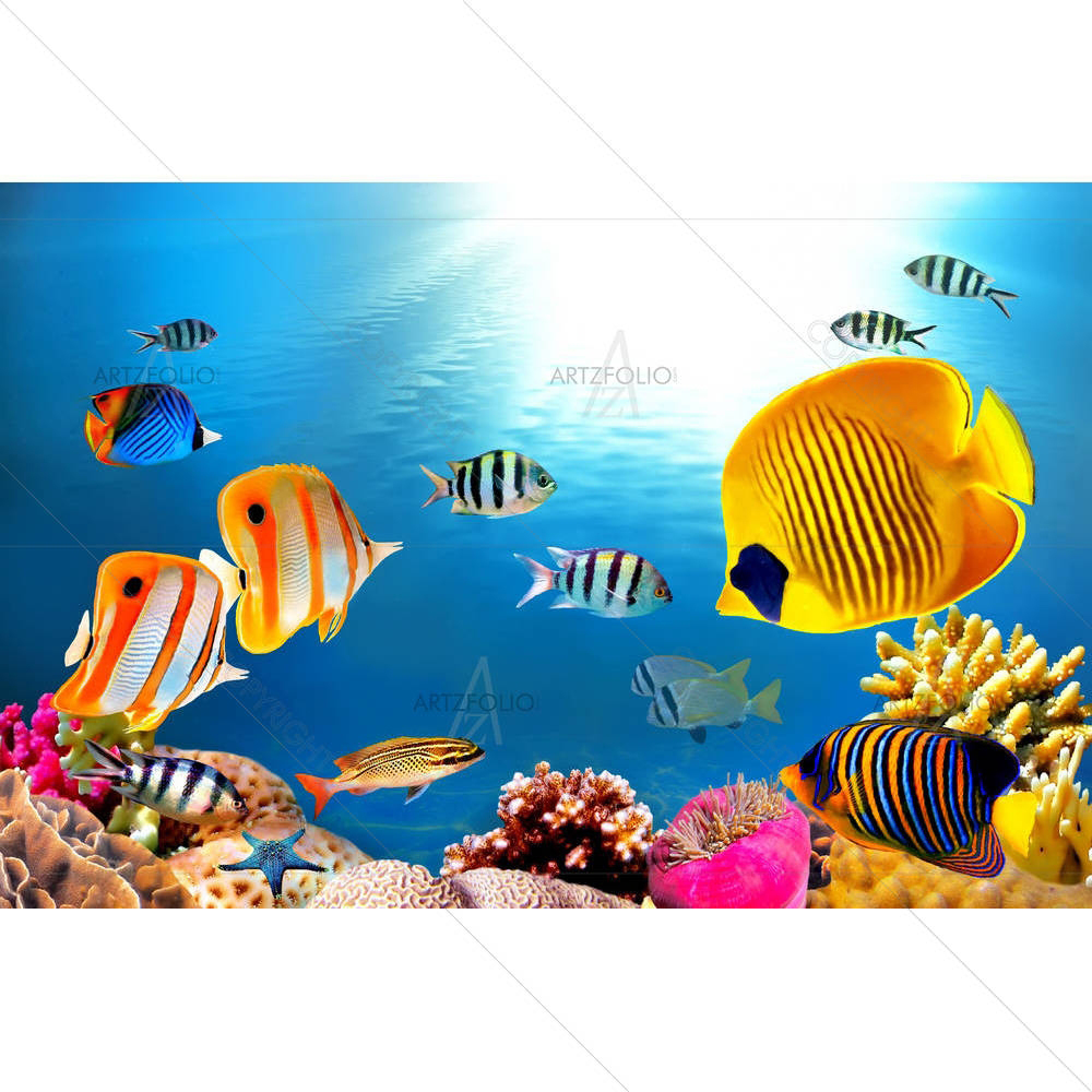 Coral Photography — Animals custom art by ArtzFolio