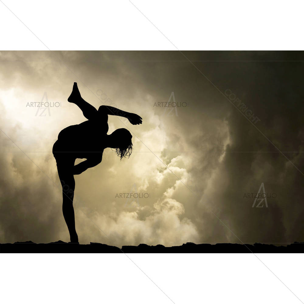 Martial Arts High Kick — Sports Martial Arts custom art by ArtzFolio