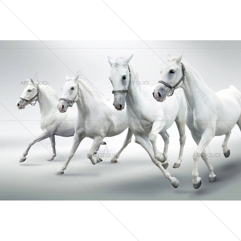 White Horses D1 — Animals custom art by ArtzFolio