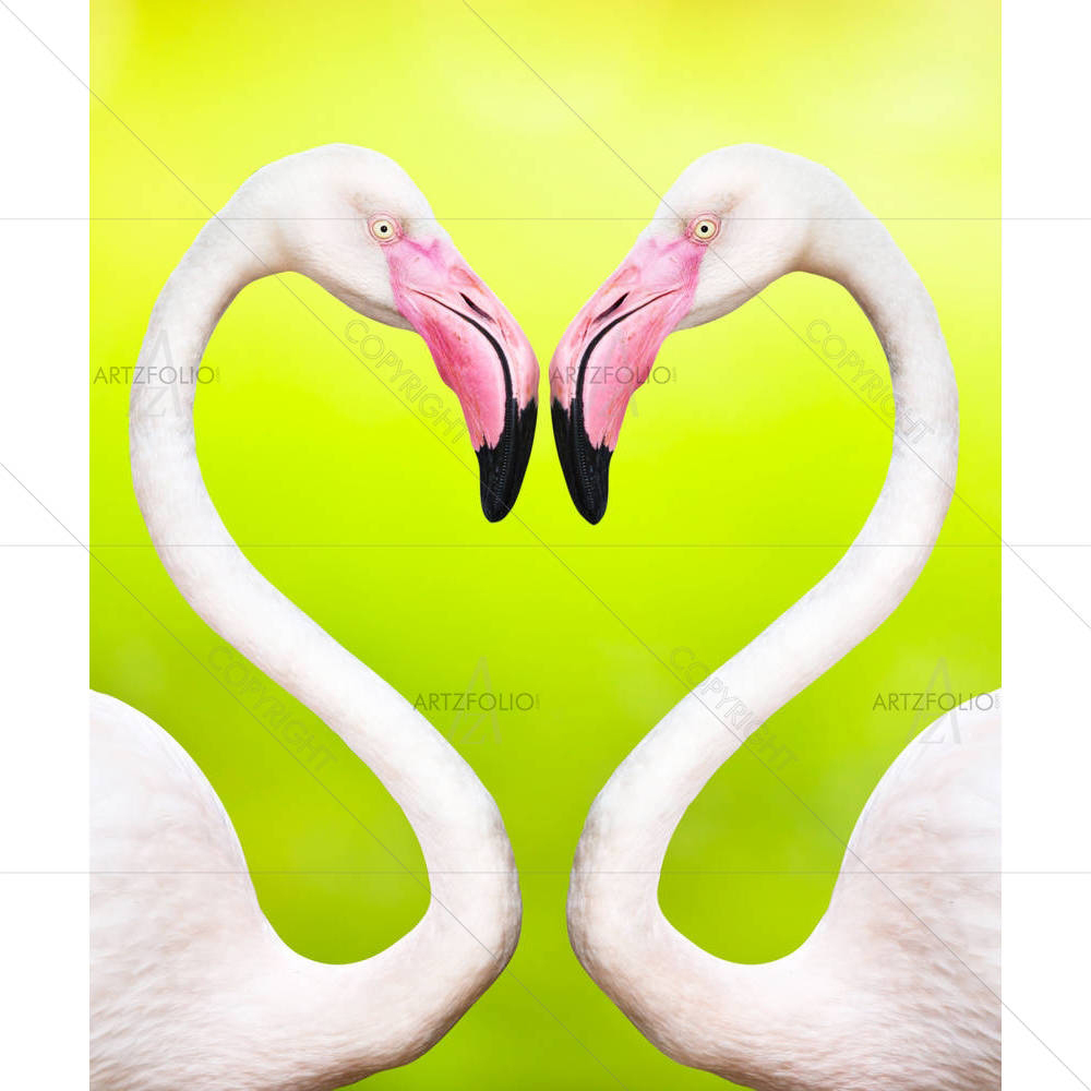 Flamingos D1 — Animals custom art by ArtzFolio
