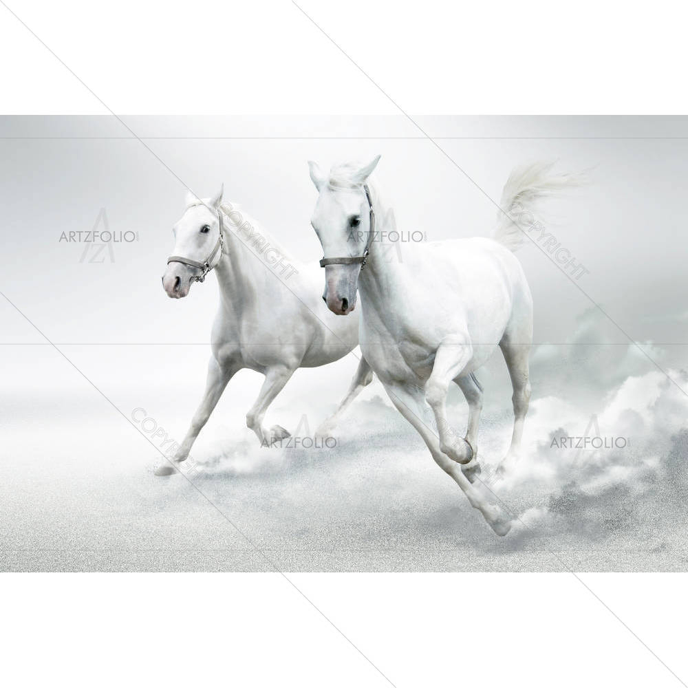 White Horses D2 — Animals custom art by ArtzFolio