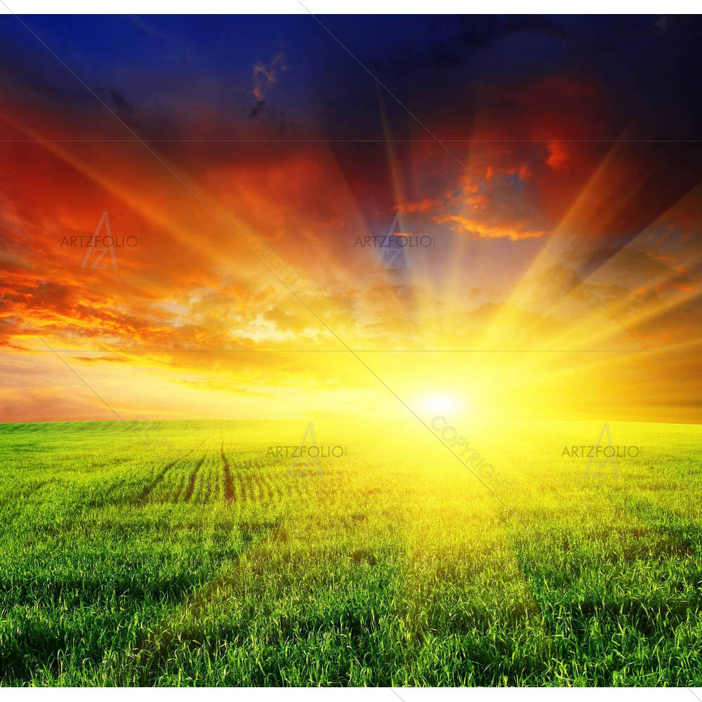 Sunset Over Field — custom-size art design 5000437