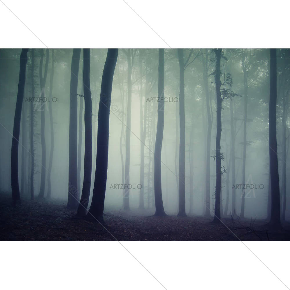 Dark Forest D1 — Fantasy custom art by ArtzFolio