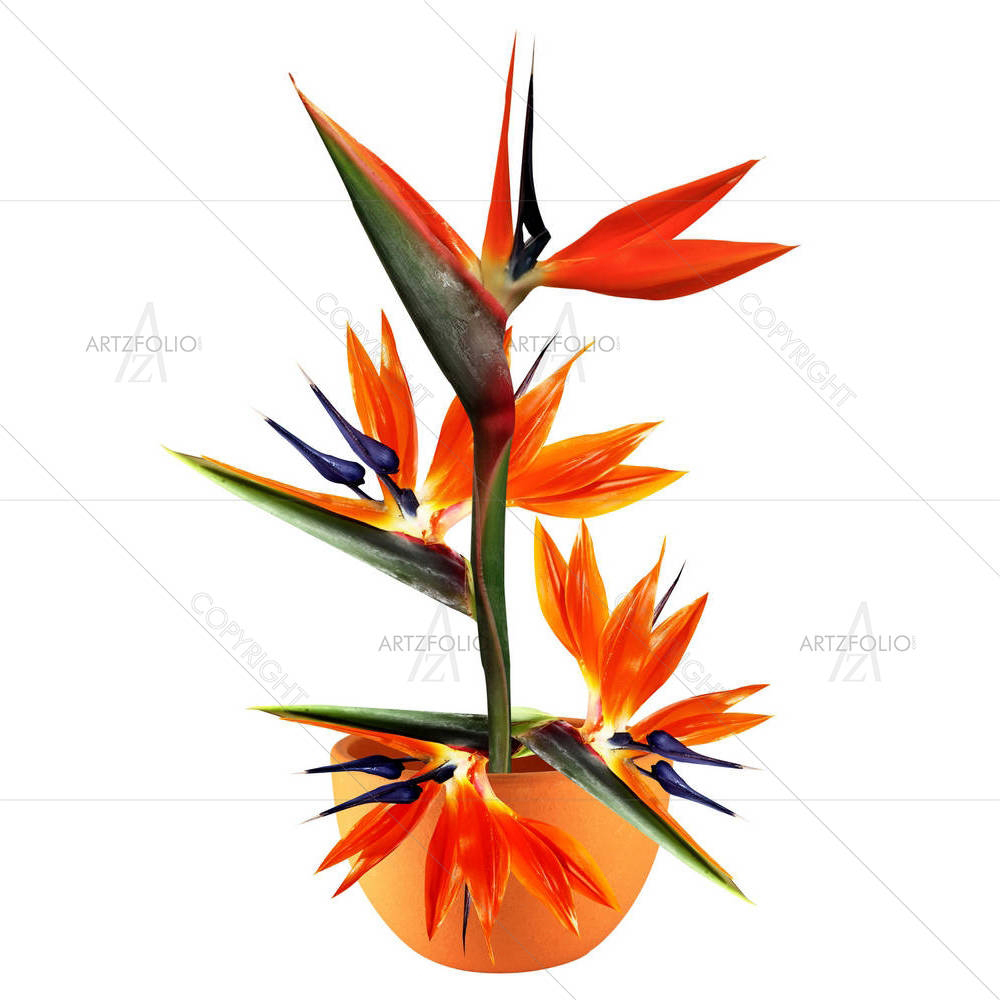 Exotic Floral — custom-size art design 5000493