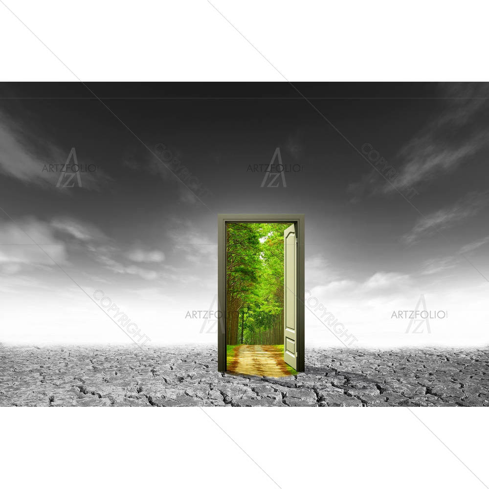 Door Open To The New World — custom-size art design 5000544