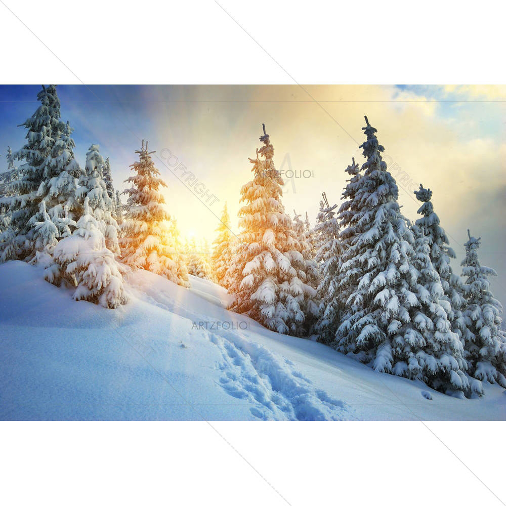 Winter Landscape Mountains Carpathians, Ukraine — custom-size art design 5000566