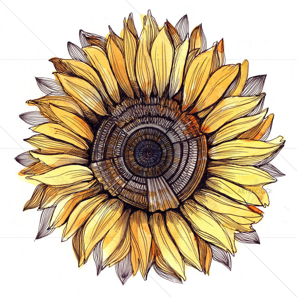 Sunflower D2 — Botanical custom art by ArtzFolio