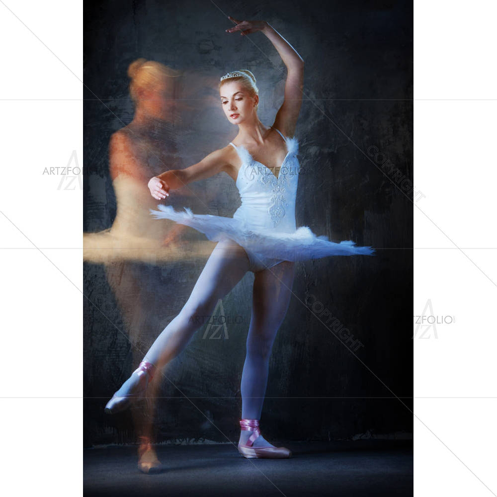 Ballet Dancer In Motion D1 — custom-size art design 5000610