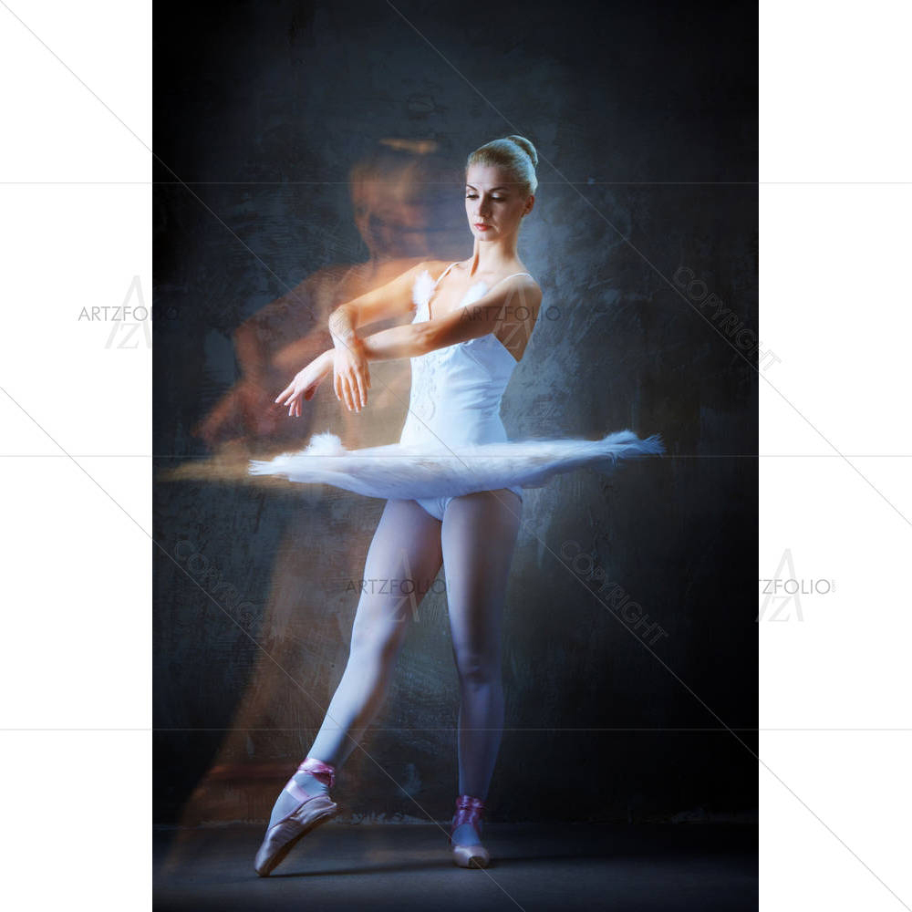 Ballet Dancer In Motion D2 — custom-size art design 5000611