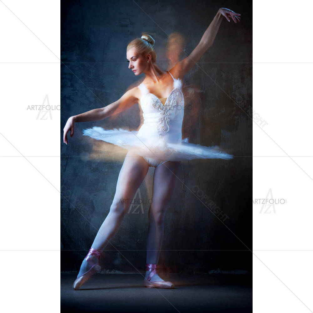 Ballet Dancer In Motion D3 — Adult custom art by ArtzFolio