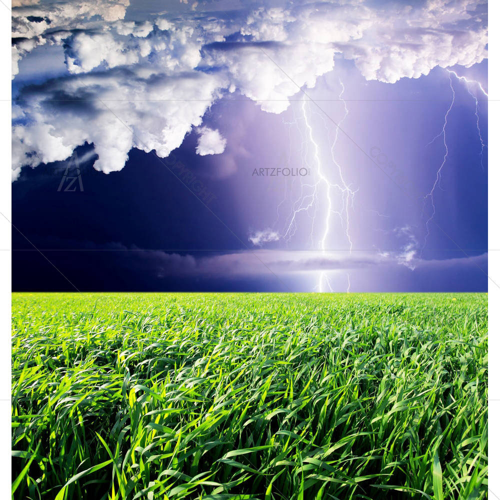 Thunderstorm With Lightning D1 — custom-size art design 5000644