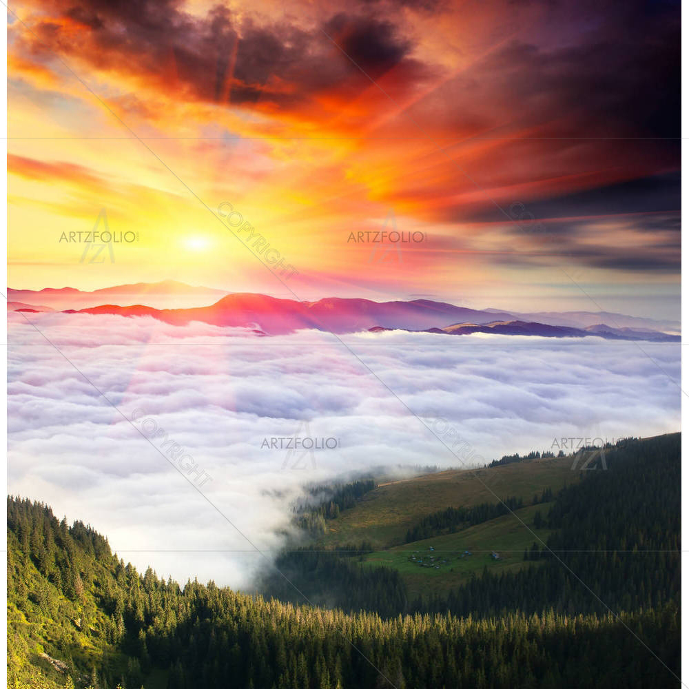 Landscape In The Carpathian Mountains, Ukraine — Botanical custom art by ArtzFolio