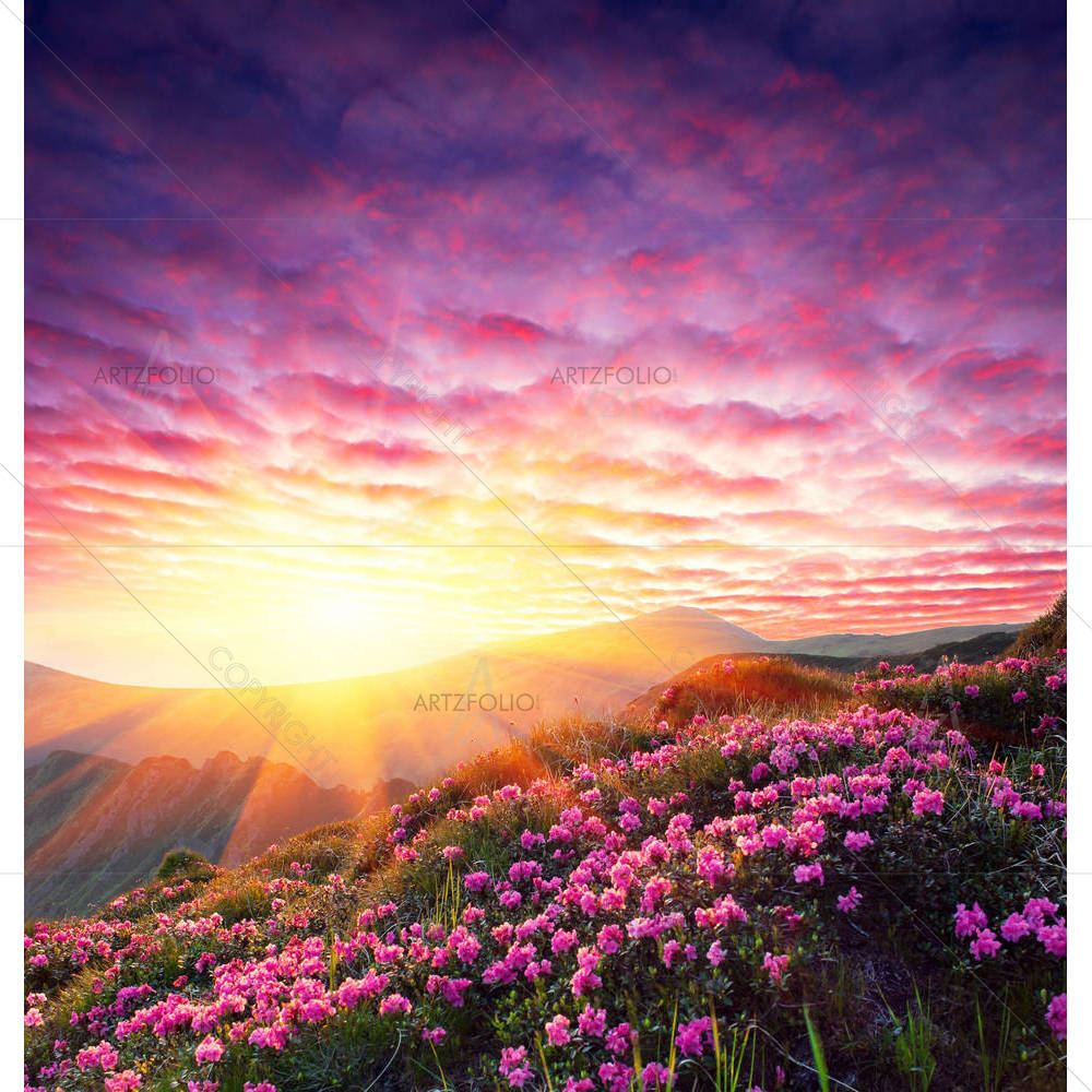 Spring Landscape In Mountains With Flower — custom-size art design 5000761