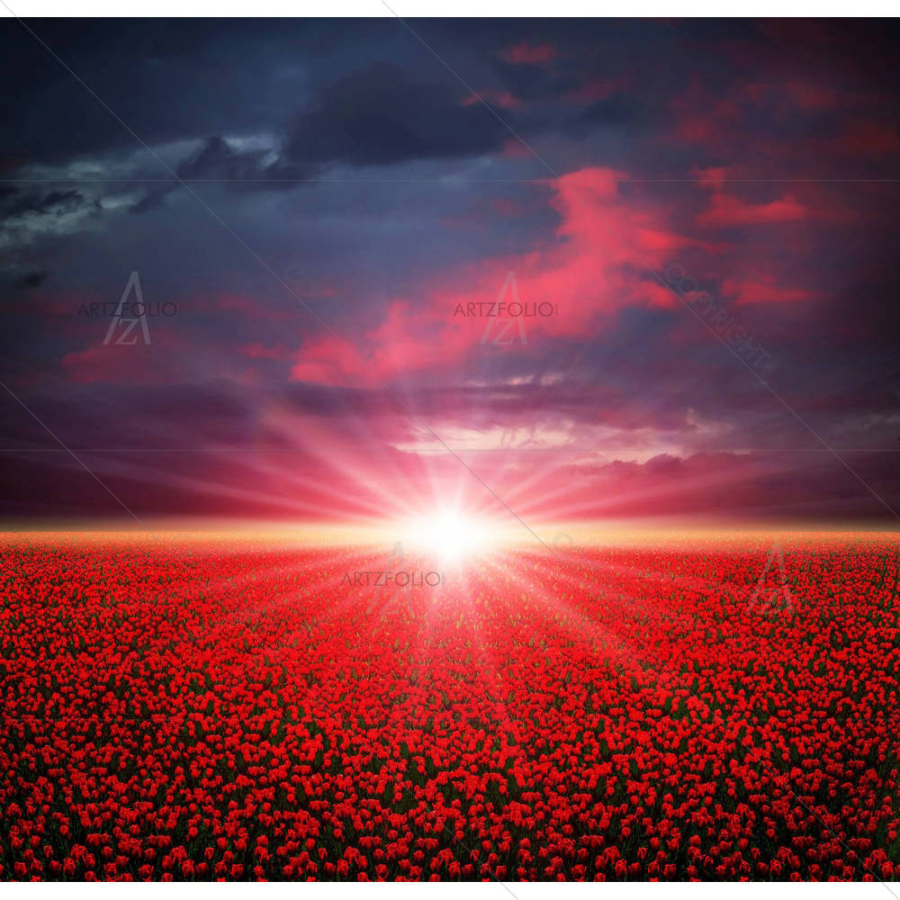 Sunset On The Red Tulips — custom-size art design 5000793