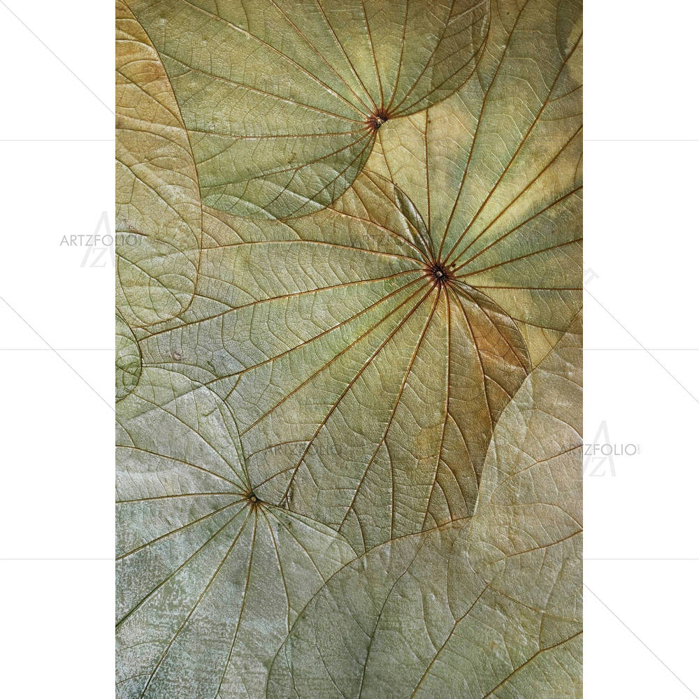 Leaf Background — custom-size art design 5000814