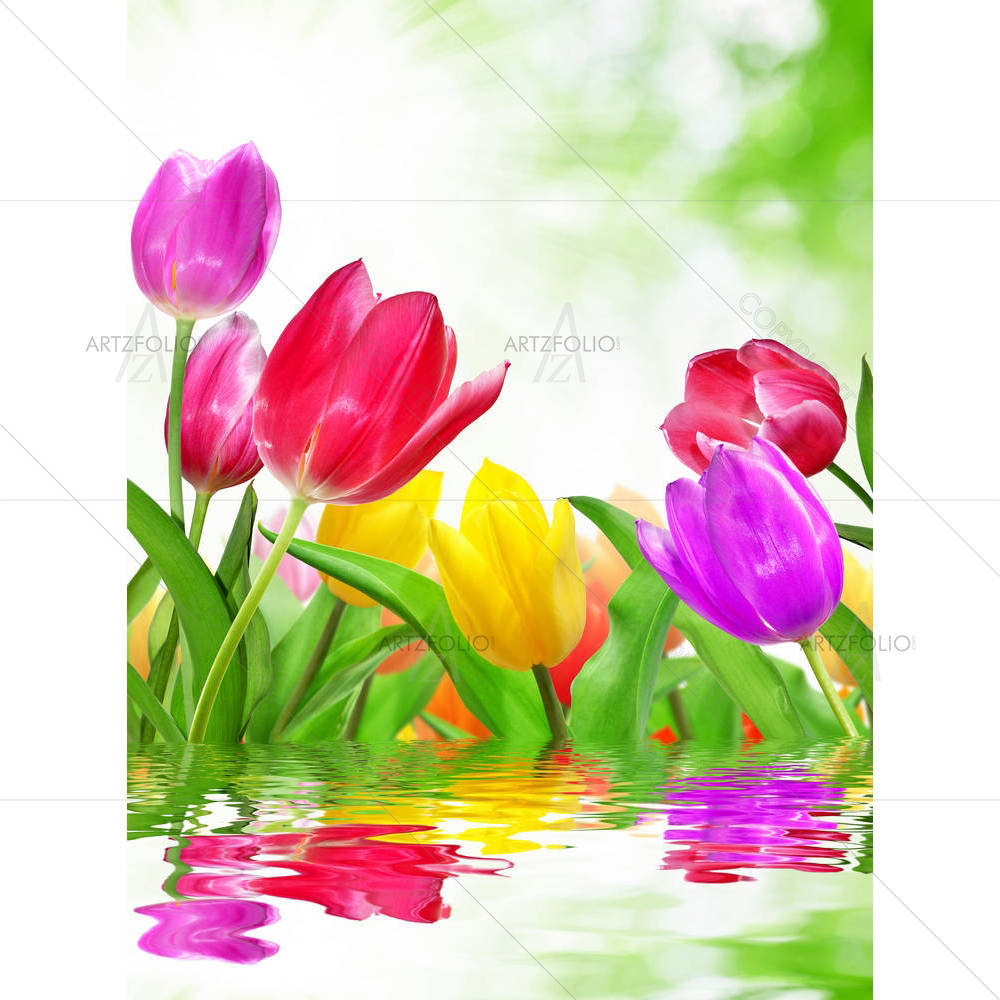Tulip — custom-size art design 5000828