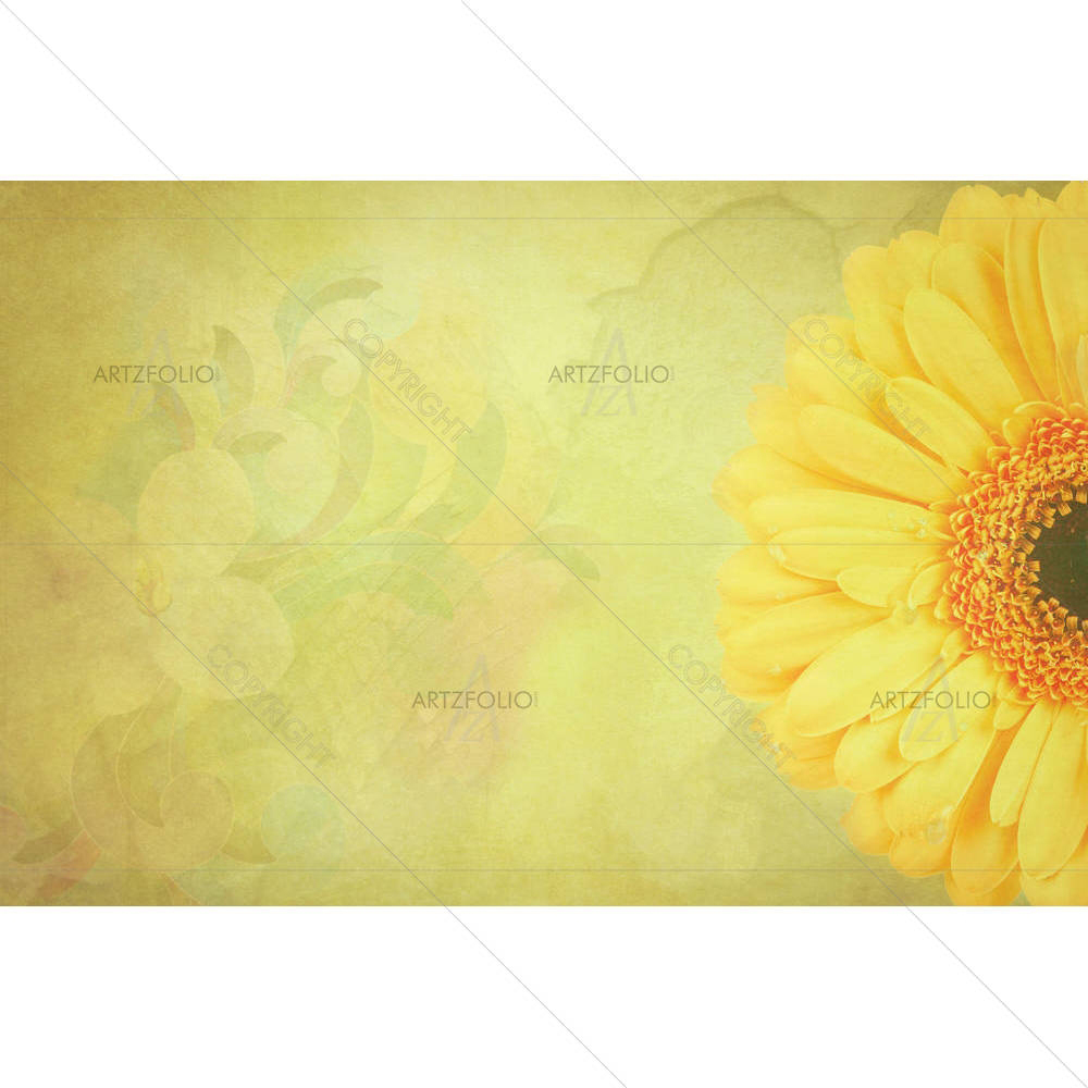 Gerbera Flowers — custom-size art design 5000867