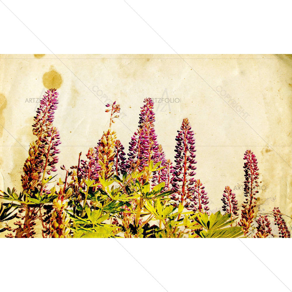 Lupines — custom-size art design 5000872