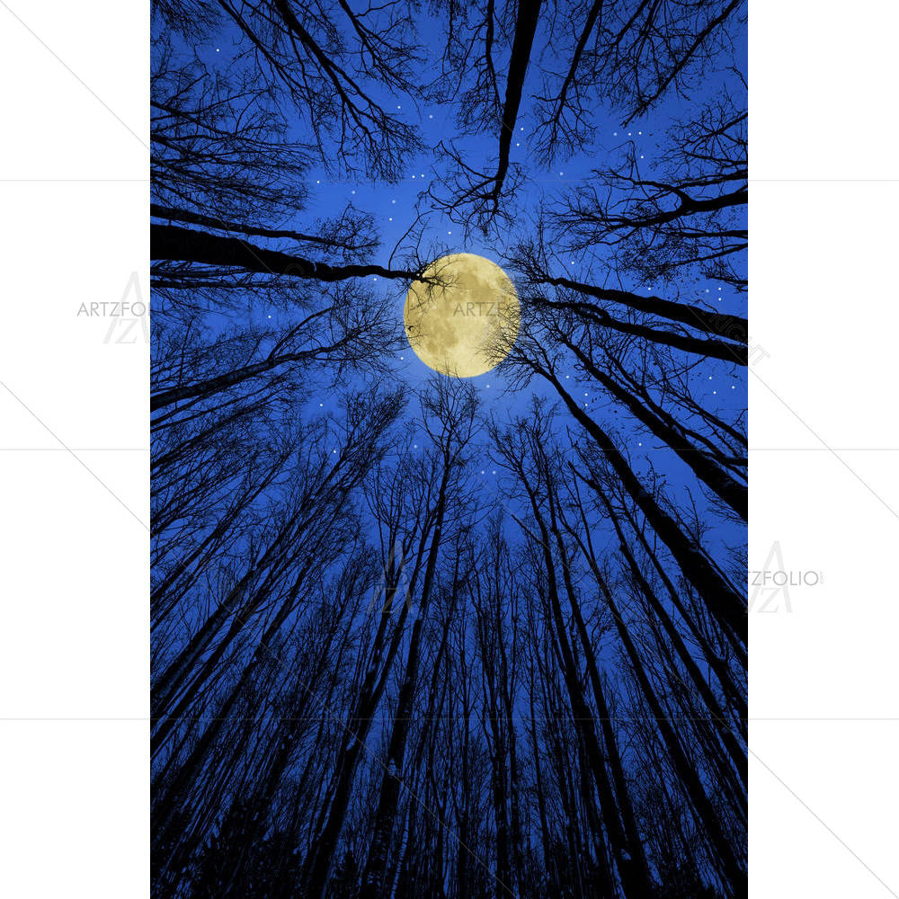 Night — Landscapes custom art by ArtzFolio