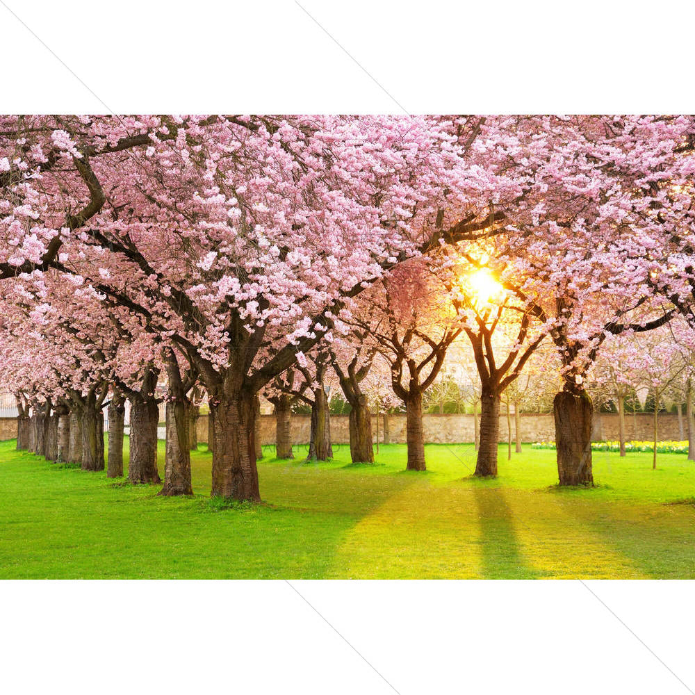 Cherry Tree Garden — Devotional custom art by ArtzFolio