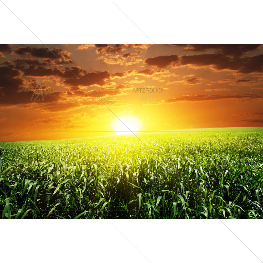 Bright Sunset — Culture custom art by ArtzFolio