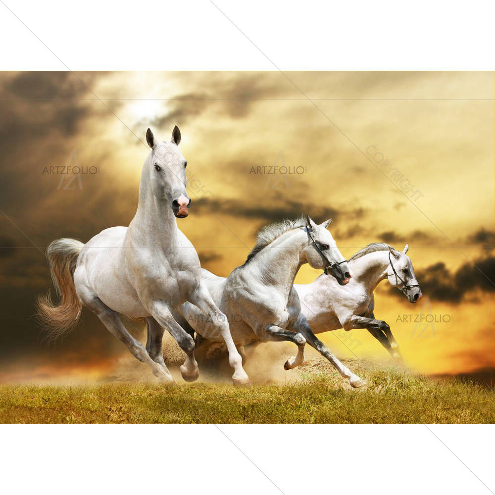White Horses D3 — custom-size art design 5000906