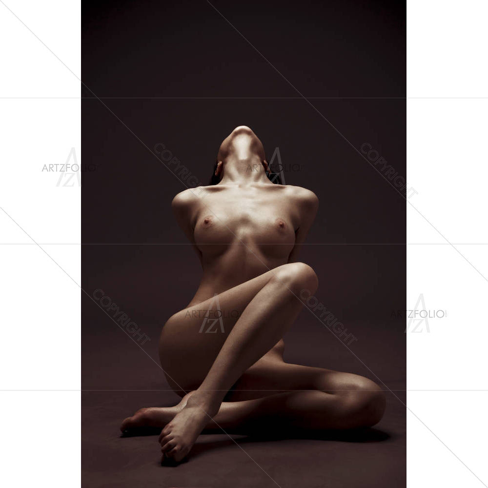 Portrait Of Woman D4 — custom-size art design 5000924