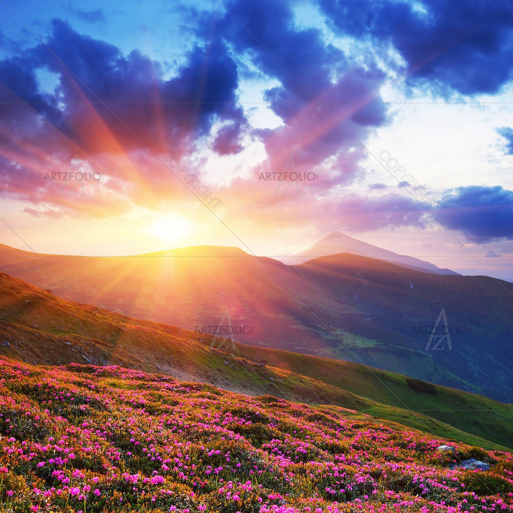 Spring Landscape D2 — custom-size art design 5000927